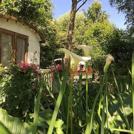 Bed and Breakfast Roulottes Du Rouard Camiers Zewnętrze zdjęcie