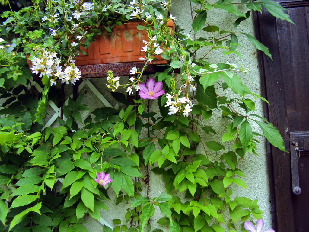 Bed and Breakfast Roulottes Du Rouard Camiers Zewnętrze zdjęcie