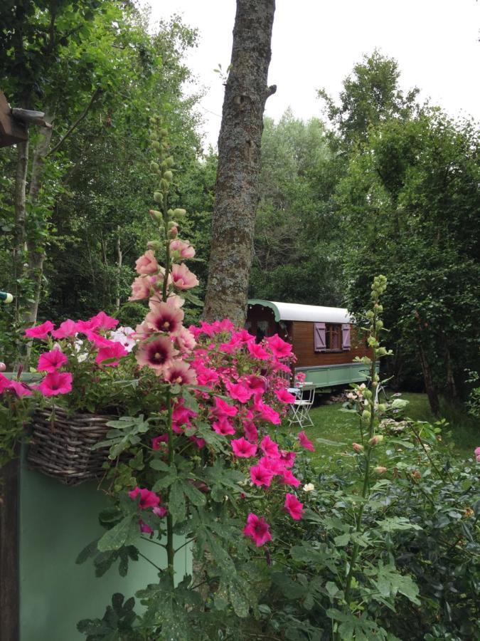 Bed and Breakfast Roulottes Du Rouard Camiers Zewnętrze zdjęcie