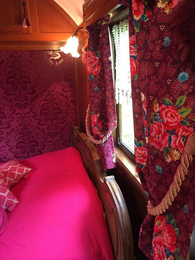 Bed and Breakfast Roulottes Du Rouard Camiers Zewnętrze zdjęcie
